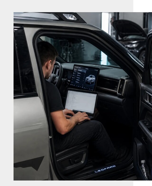 Русификация BYD Leopard 3 в Нурлате по цене от 20750 р. | ФастМобиль-Нрт